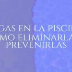 A green algae-infested swimming pool with clear blue water next to it, showing contrast, realistic.