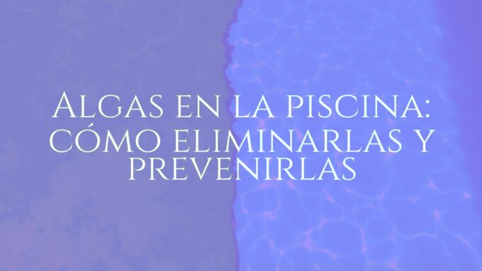 A green algae-infested swimming pool with clear blue water next to it, showing contrast, realistic.