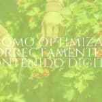 A gardener pruning black currant bushes in a sunny garden, healthy plants, detailed leaves and berries, realistic.