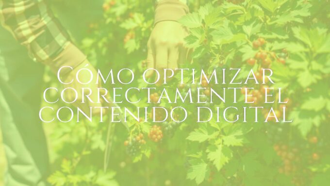 A gardener pruning black currant bushes in a sunny garden, healthy plants, detailed leaves and berries, realistic.