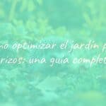 A cute hedgehog in a garden, surrounded by greenery and autumn leaves, golden sunset lighting, realistic.