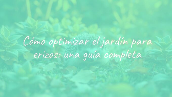 A cute hedgehog in a garden, surrounded by greenery and autumn leaves, golden sunset lighting, realistic.