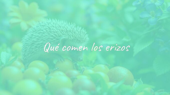 A cute hedgehog eating fresh fruits and insects in a natural, lush green garden setting, realistic and detailed.