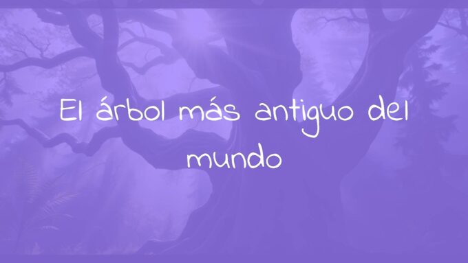 An ancient tree with thick, gnarled bark, standing tall in a misty forest, sunlight filtering through its branches, hyperrealistic.