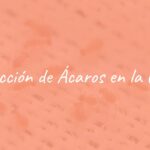 Close-up of microscopic dust mites on a bed, detailed and realistic, showing tiny creatures crawling on fabric, allergy-inducing environment, with faint hints of itching and discomfort.