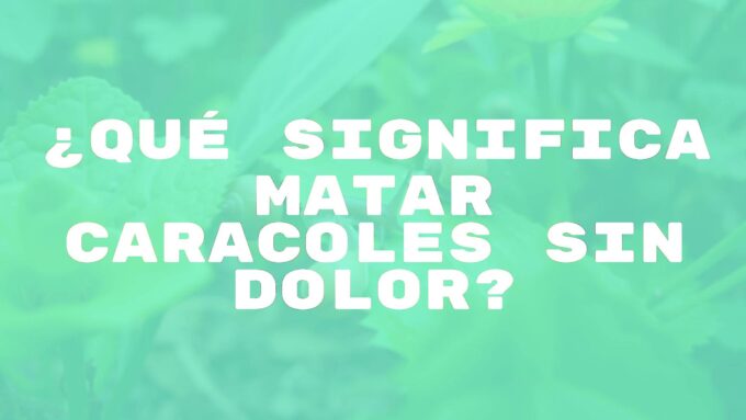 A garden scene with snails on a leaf, soft natural lighting, ethical pest control theme, realistic.