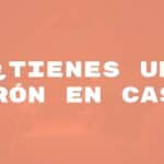 A small dormouse in a cozy attic setting, dim lighting, night scene, realistic.