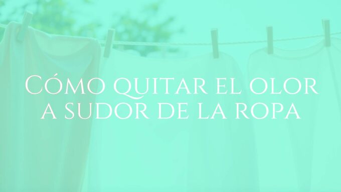 Freshly washed clothes hanging on a clothesline, sunlight, clean cotton fabric, no odor, realistic.