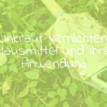 Garden weeds being removed with natural remedies, showing a mix of dandelions and nettles, eco-friendly approach, soft natural lighting, realistic.