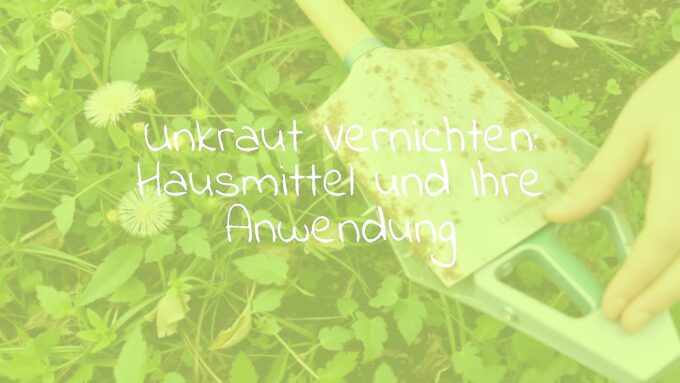 Garden weeds being removed with natural remedies, showing a mix of dandelions and nettles, eco-friendly approach, soft natural lighting, realistic.