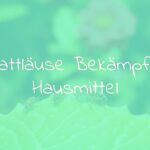 Close-up of aphids on a green leaf, surrounded by natural home remedies like soapy water spray and garlic cloves, bright garden background, realistic.