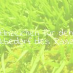 Lush green lawn with signs of yellow patches and moss, indicating lime deficiency, close-up of grass blades, natural sunlight, realistic.