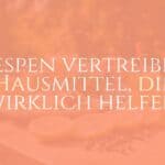 A summer picnic table with food and drinks, wasps flying around, natural repellents like lemons and cloves placed nearby, warm daylight, peaceful ambiance.